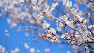 February-2024-calendar