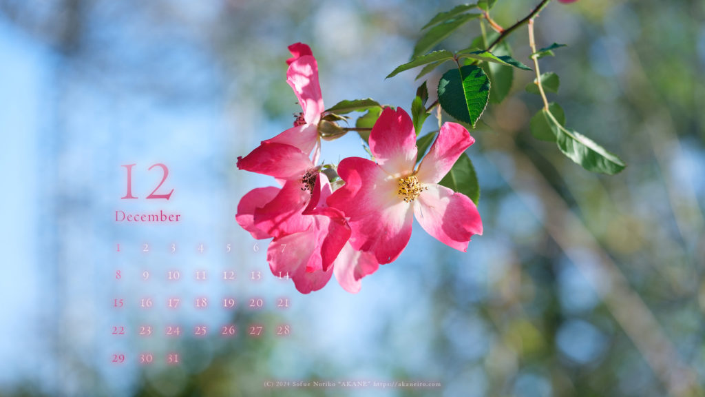 December-2024-calendar