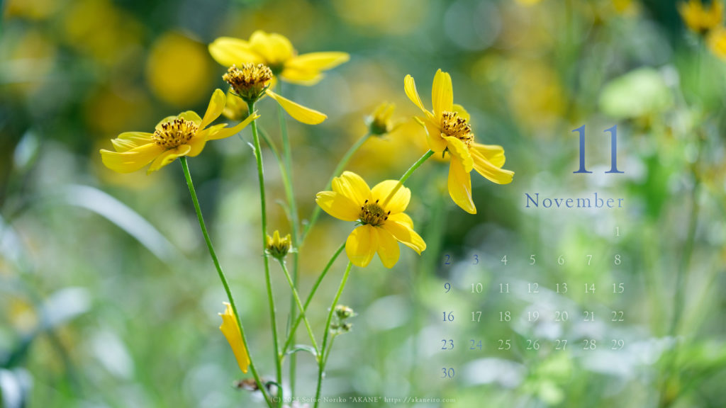 November-2025-calendar