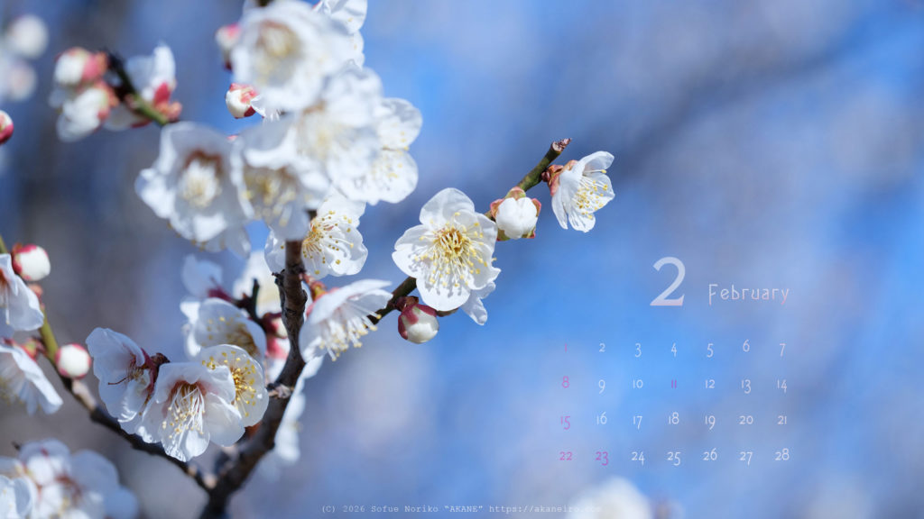 February-2026-calendar